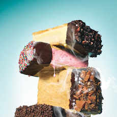 Chocolate-Dipped Ice Cream Sandwiches