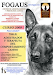 Curso De Formacion Con Animales