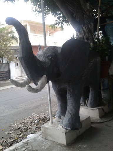 Elefante Gigante