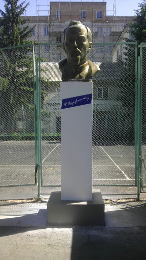 Статуя На Стадионе