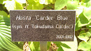 Carder Blue