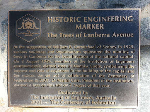 Trees of Canberra Avenue 