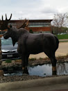 Giant Moose