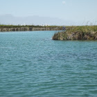 NoelSal