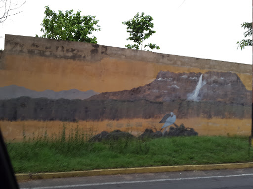 Mural De Canaima