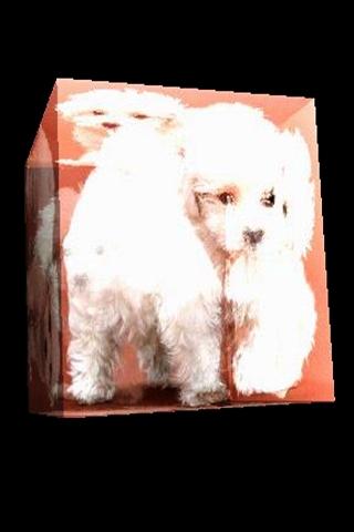 3D cute dog