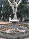 Fontana Del PARCO