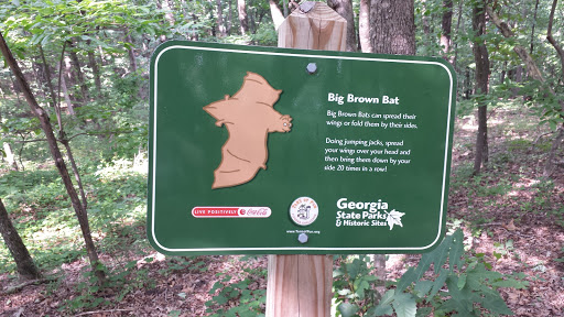 Big Brown Bat Sign