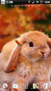 How to get Rabbit Live Wallpaper lastet apk for android