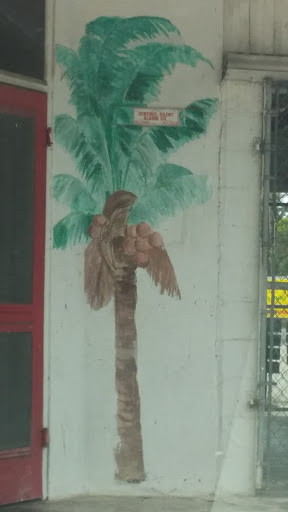 Keneke's Coconut Palm Mural