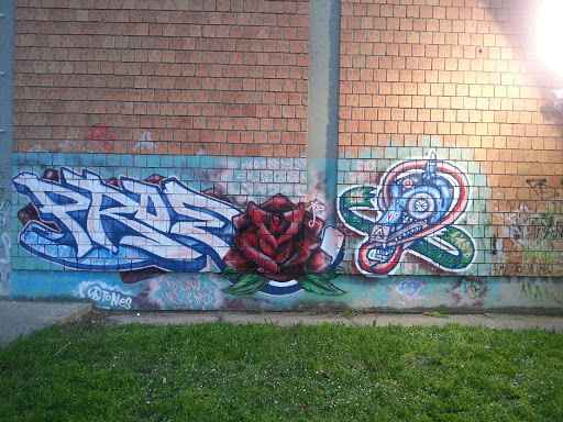 Ruza I Zmaj Grafit