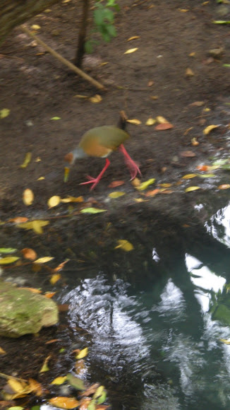 Spotting Image 1