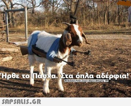 ε το α. Στα όπλα αδέρφια! 