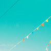 Wonder, no.2