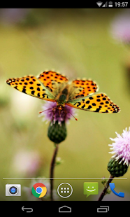 How to mod Insects wallpapers HQ lastet apk for bluestacks