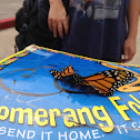 Monarch
