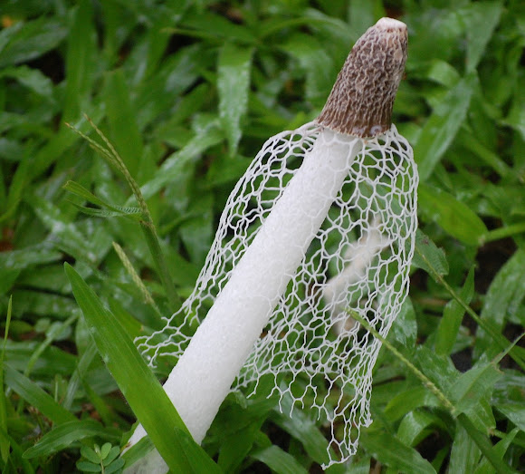 Spotting Image 1