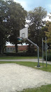 Leuven Basketball Field