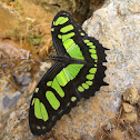 Malachite
