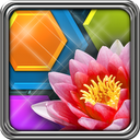 HexLogic - Flowers mobile app icon