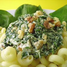 Spinach and Ricotta Cheese Sauce for Pasta