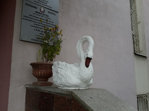 Белый Лебедь