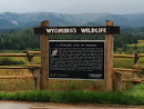 Wyoming's Wildlife 