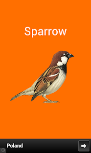 How to download Birds Preschool Toddler Lite 1.2 apk for laptop