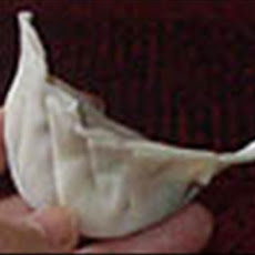 Pork Gyoza