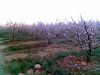 Rancho En Venta