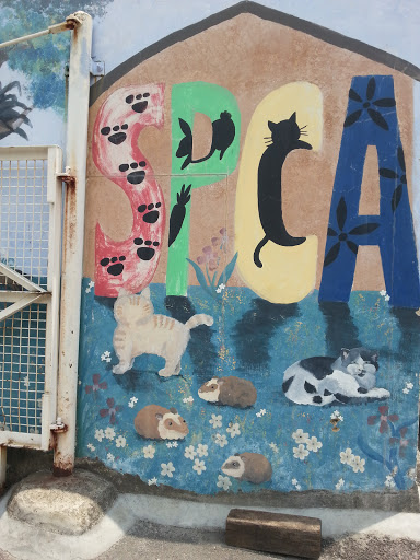 Mural at SPCA