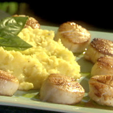 Pan-Seared Scallops with a Yukon Gold Potato Mash and Basil Oil