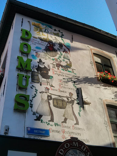 Domus Wall Painting