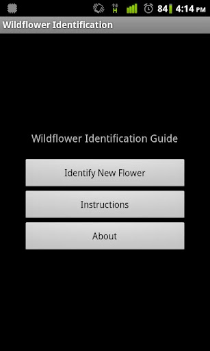 Wildflower Identification