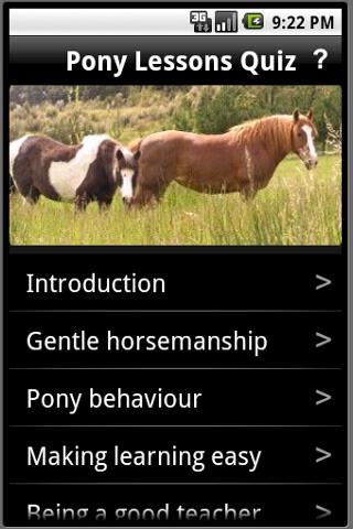 Pony Lessons Quiz