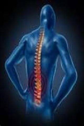 Back Pain Causes And Cures