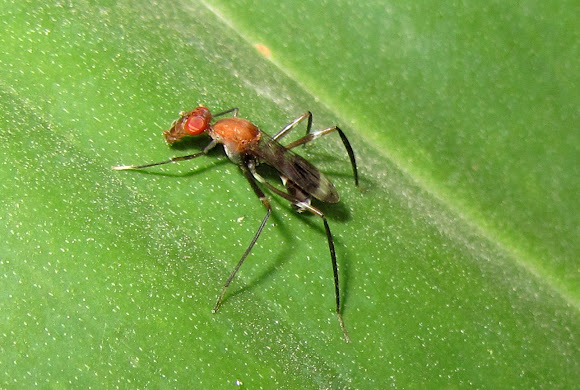 Spotting Image 1