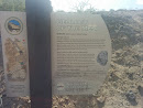 Whitney Mesa Recreation Area: Geology Of The Mesa