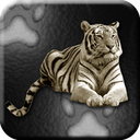 Tigers Live Wallpaper mobile app icon