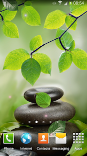 How to get Leaf Live Wallpaper patch 1.0.4 apk for android