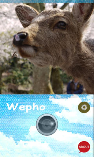 Wepho