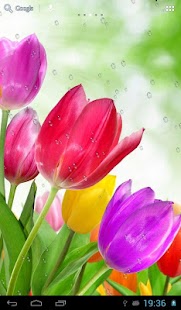 How to install Drops on tulips patch 0.7 apk for android