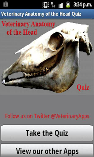 Vet Anatomy Of The Head Quiz