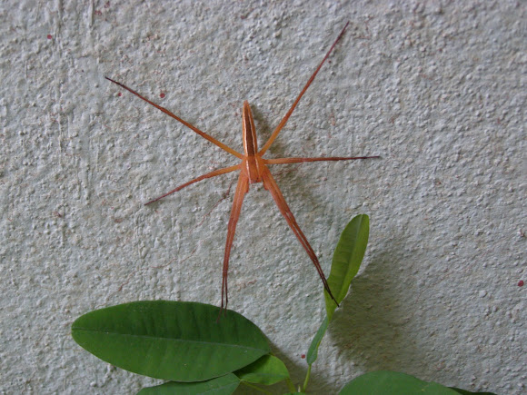 Spotting Image 1