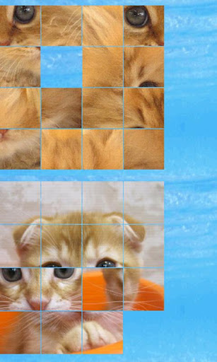 puzzle cat b 4x4