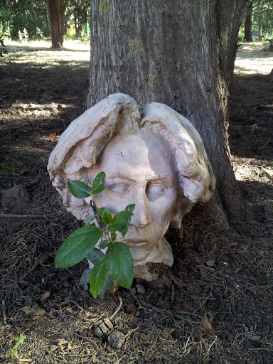 A Face Sculpture