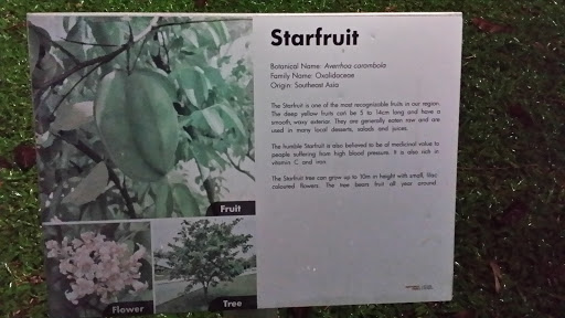 Star fruit Sign