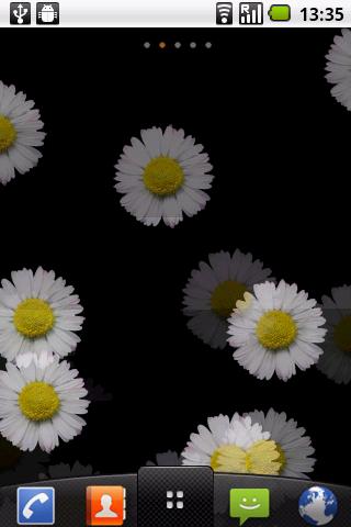 White Flower Live wallpaper