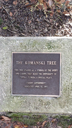 The Komanski Tree
