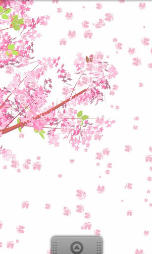 sakura live wallpaper 1